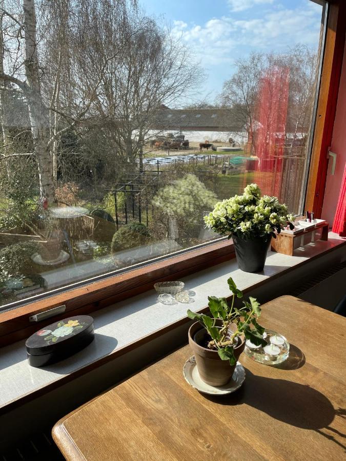 Retro Bolig - Fyldt Med Hygge! Ingen Luksus Apartment Kolind Luaran gambar